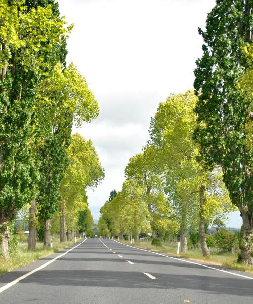 A beautiful view of Revesby
