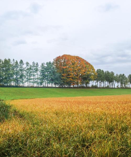 Ein schöner Blick auf Cameri