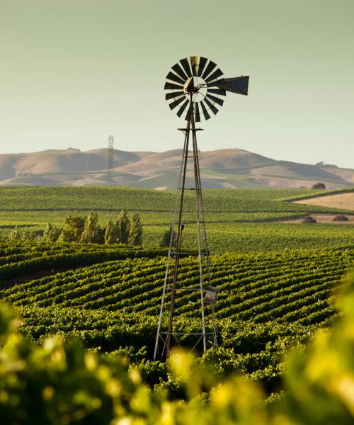 A beautiful view of Santa Rosa
