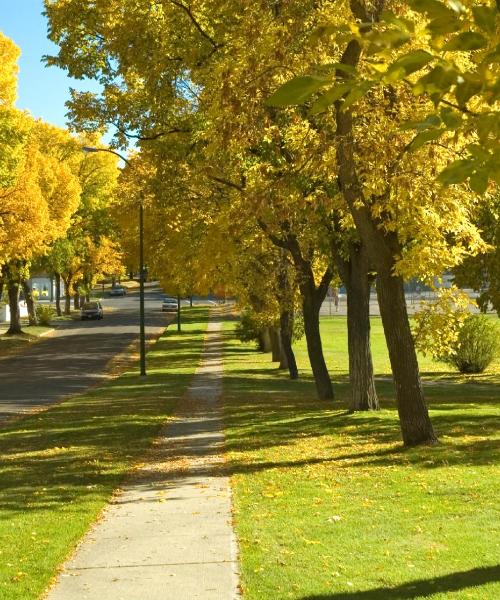 A beautiful view of Hammond