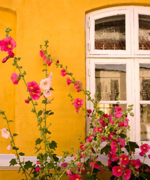 Una panoràmica bonica de Bjerringbro