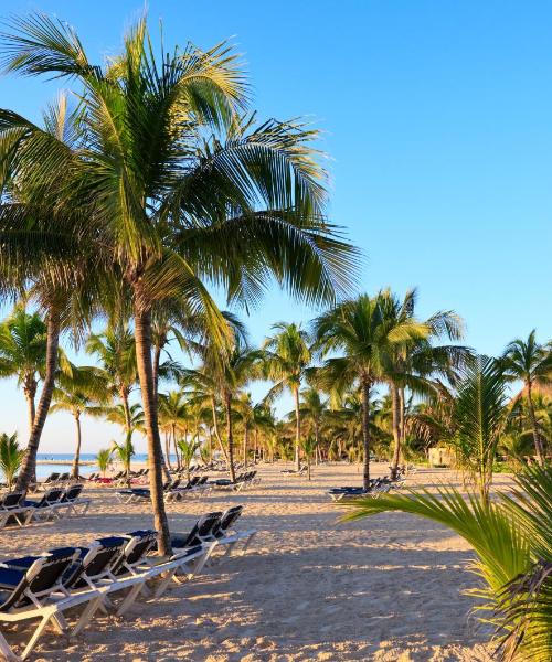 A beautiful view of Playa del Carmen