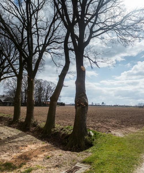 Una bellissima vista di Zeven