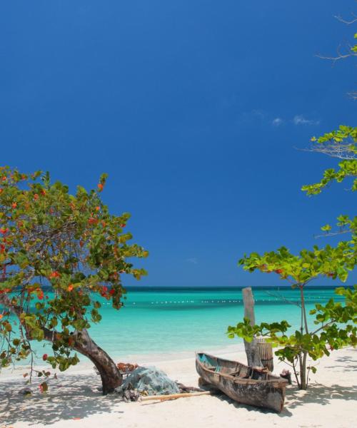 Ein schöner Blick auf Negril