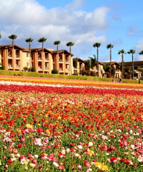 A beautiful view of Carlsbad