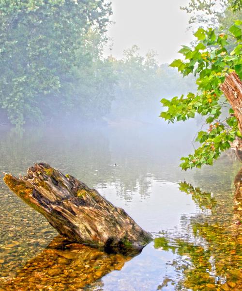 Красивый вид города Брэнсон