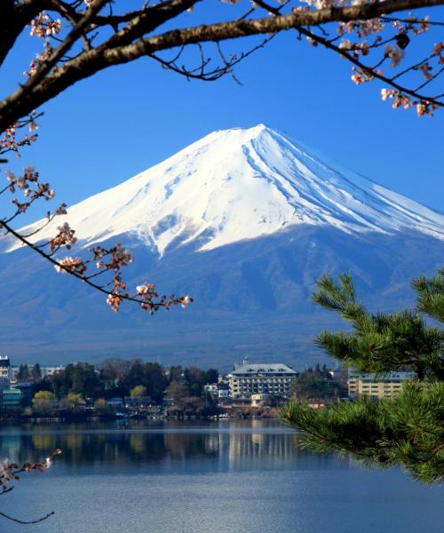 A beautiful view of Fujikawaguchiko