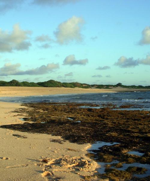 A beautiful view of Kahuku