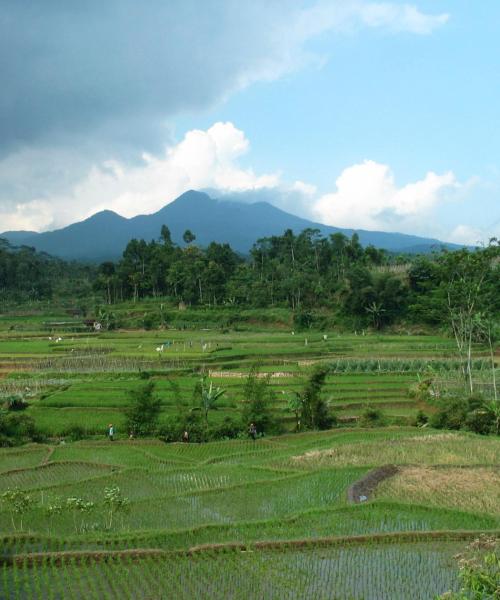 A beautiful view of Kediri