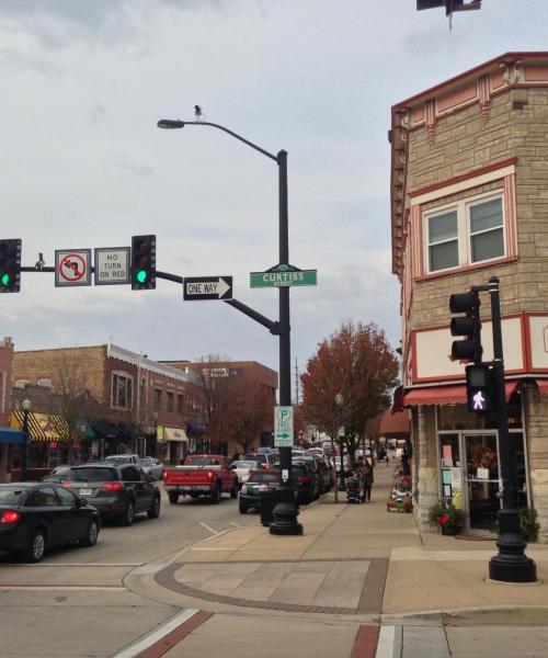 A beautiful view of Downers Grove