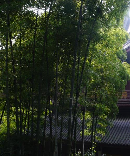 A beautiful view of Bozhou