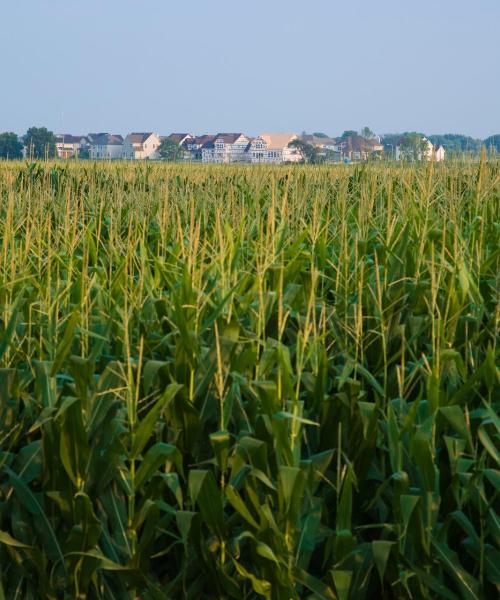 Ein schöner Blick auf Plainfield