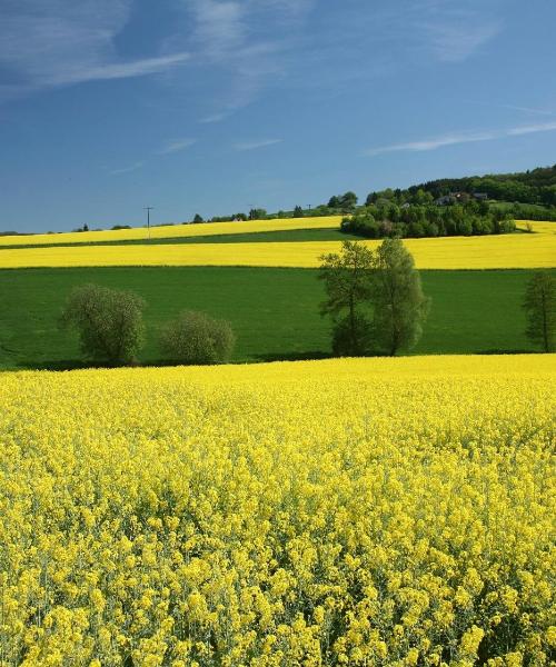 Ein schöner Blick auf Coesfeld