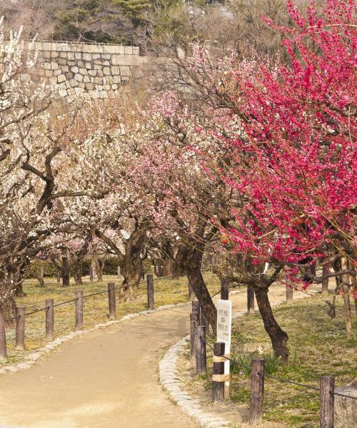 A beautiful view of Higashi-osaka
