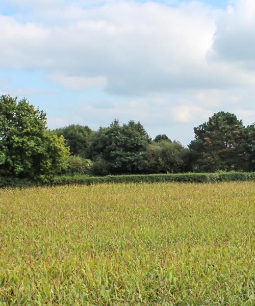 Una panoràmica bonica de Stadtlohn