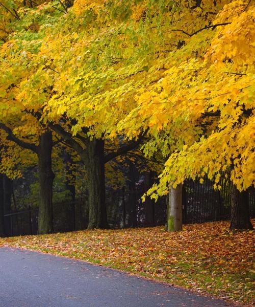 A beautiful view of Morton Grove