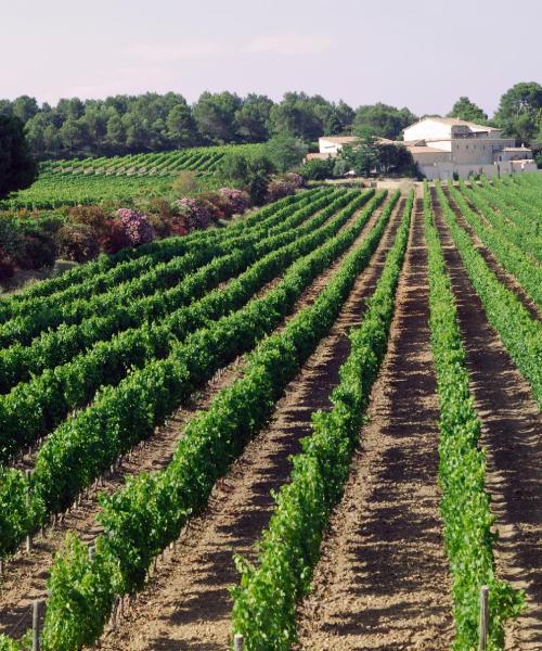 A beautiful view of Saint-Aunès