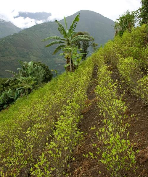 A beautiful view of Trinidad
