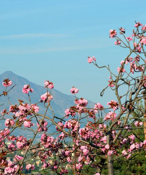 A beautiful view of Avigliana