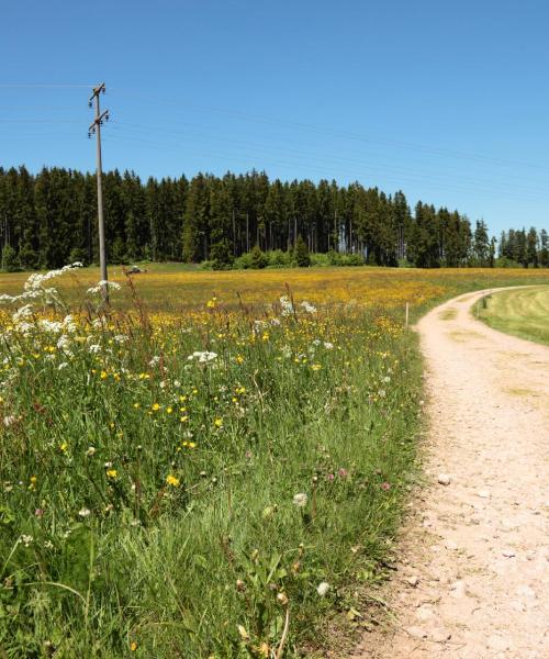 Una panoràmica bonica de Lohr