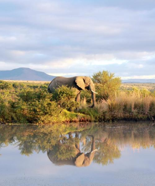 A beautiful view of Ladysmith