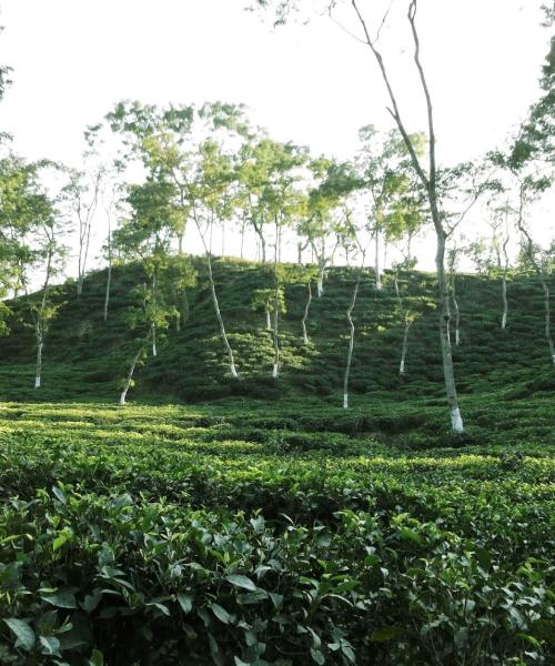 Ein schöner Blick auf Sylhet