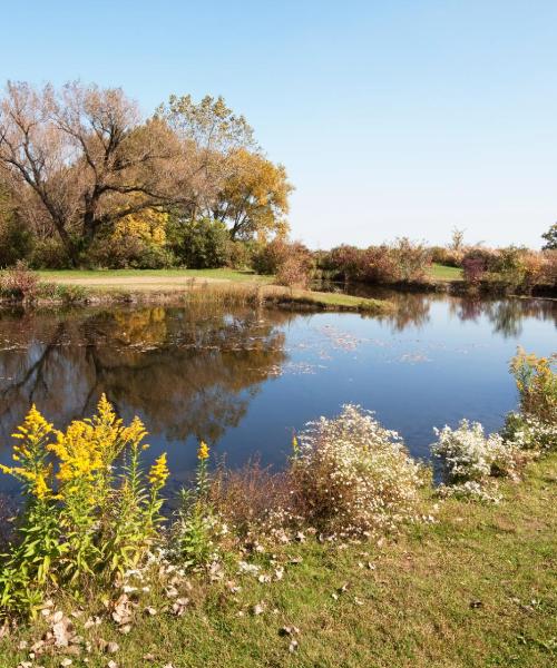 A beautiful view of Romeoville
