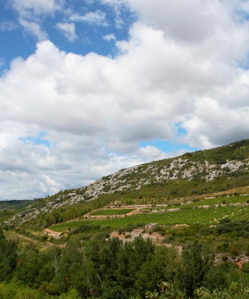 A beautiful view of Le Boulou