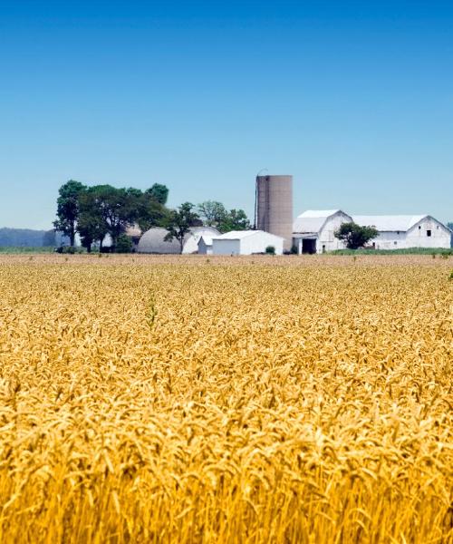 A beautiful view of Hamilton