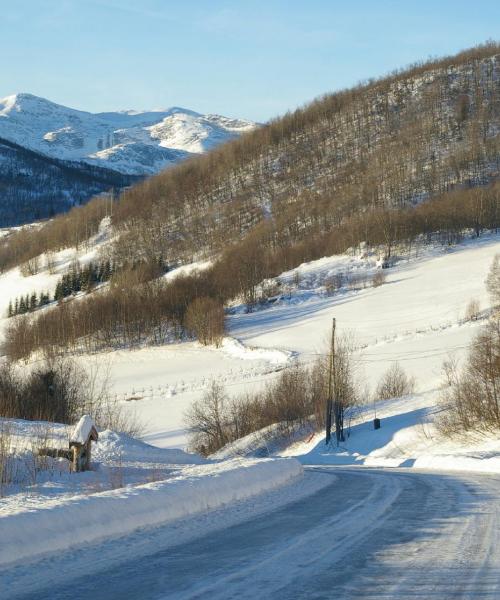 A beautiful view of Fagernes