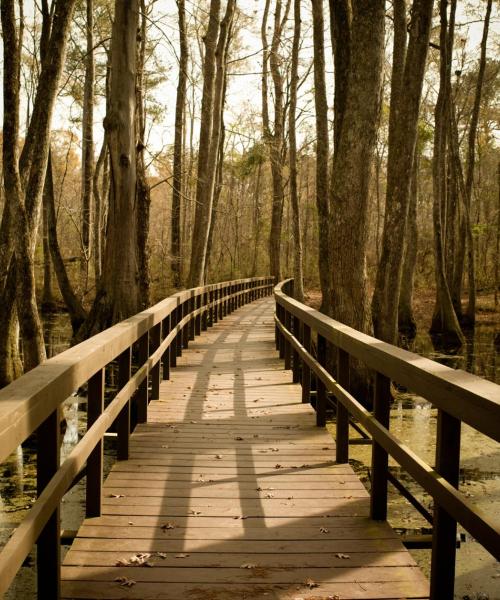 A beautiful view of Yazoo City