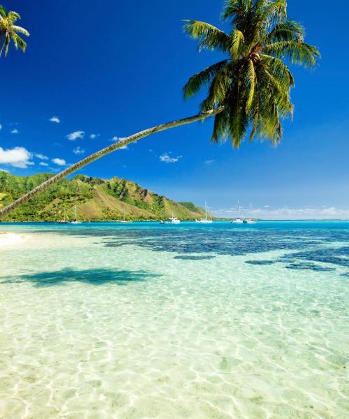 A beautiful view of Moorea