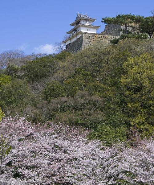 A beautiful view of Marugame