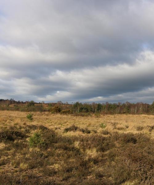 A beautiful view of Chobham