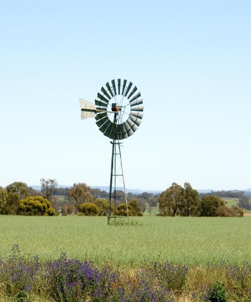 A beautiful view of Narrandera