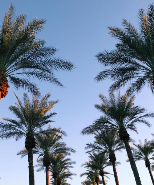 A beautiful view of Hialeah Gardens