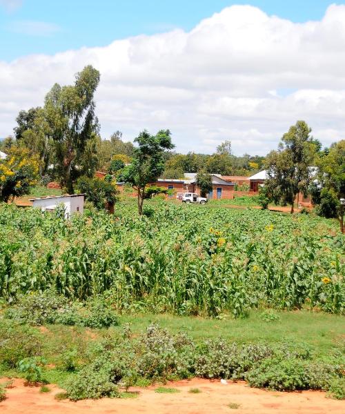 Ein schöner Blick auf Dodoma