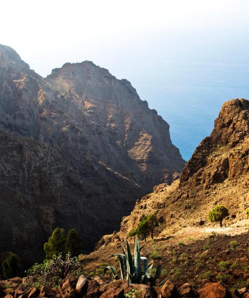 A beautiful view of Valle Gran Rey