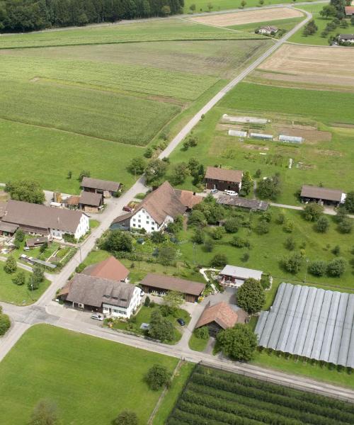 Ein schöner Blick auf Rümlang