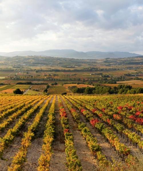 A beautiful view of Alixan