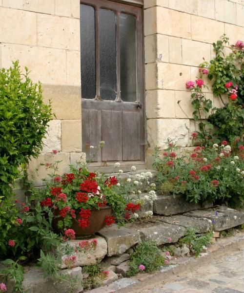 A beautiful view of Parçay-Meslay