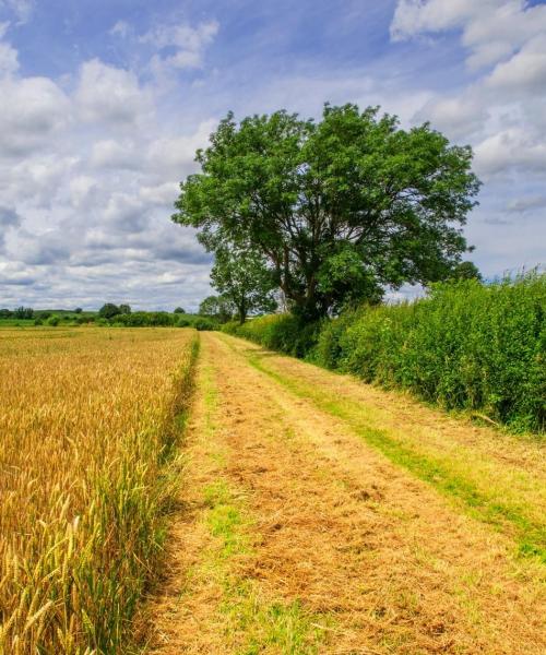 A beautiful view of Berkswell