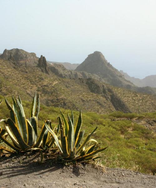 A beautiful view of Sauzal