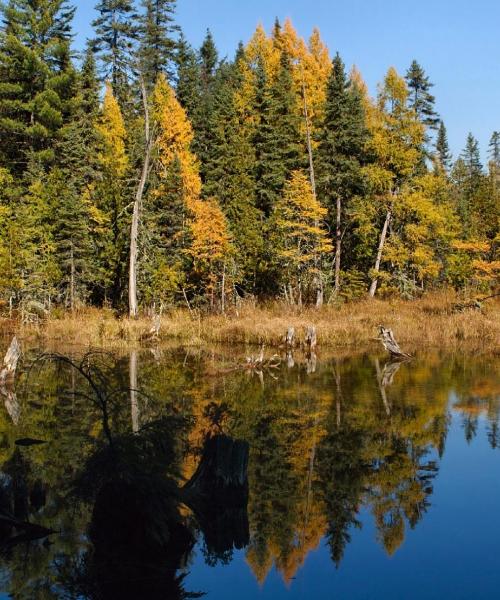 A beautiful view of Grayling