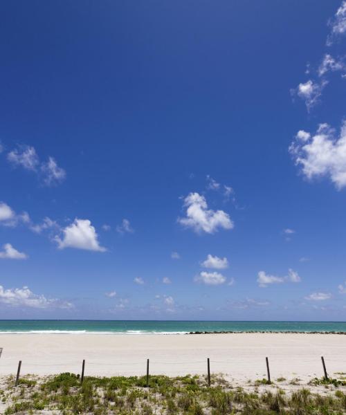 A beautiful view of Lantana