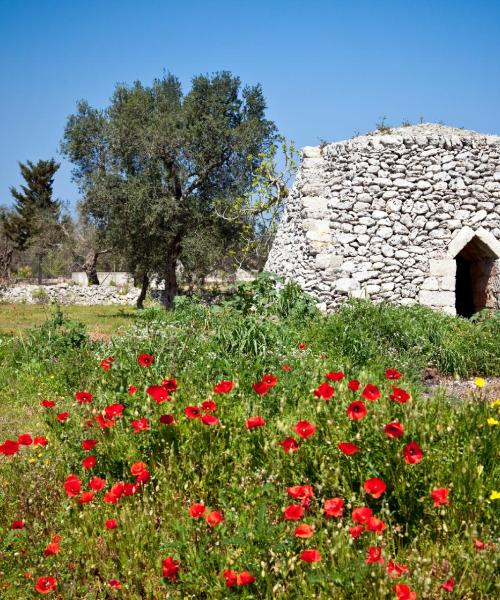 En vacker bild av Modugno