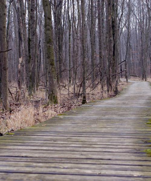 Una panoràmica bonica de Basking Ridge