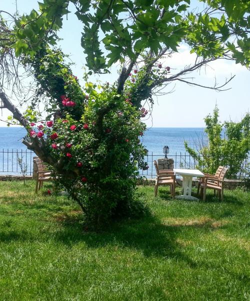 A beautiful view of Tavaklı