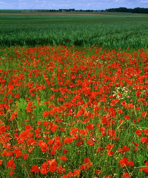 A beautiful view of Creil
