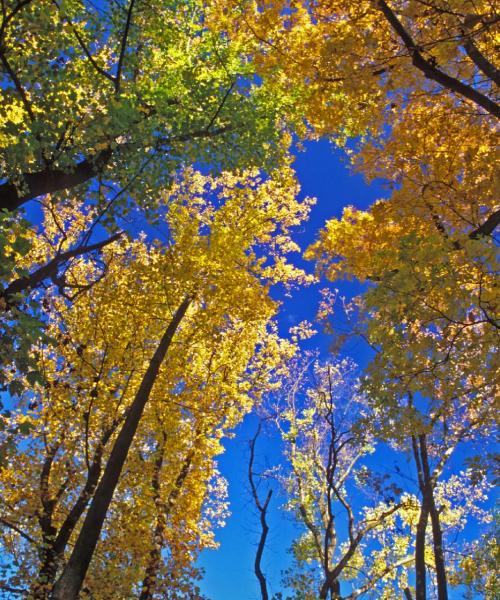 A beautiful view of Piscataway